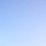 לכמה קלוריות זקוק כל אחד מבני משפחתי?