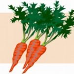 ילדים שאוכלים ירקות כתומים – גבוהים יותר