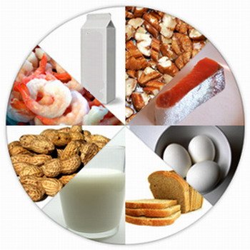 ילדכם סובל מאלרגיה למזון?