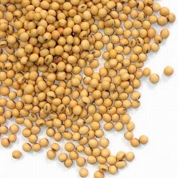 סויה – בריא או לא?