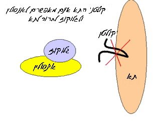 מהי תנגודת לאינסולין?