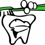 הקשר בין ויטמין D לעששת