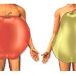 השמנת "אגס" אינה בריאה יותר מהשמנת "תפוח"