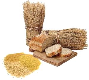 מזונות מחיטה מלאה – לא תמיד בריאים