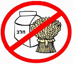 "הדיאטה האוטיסטית" – עובדות חשובות