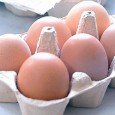 &nbsp; &nbsp; אחסון בטוח של ביצים היא שוות ערך בחשיבותו לאחסון נכון של בשר. לפניכם הצעות לאחסון נכון ובטוח של ביצים: עדיף לקנות ביצים המאוחסנים במקרר. בדקו את הביצים לוודא [&hellip;]