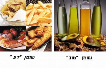 דיאטה דלה בשומן – סוף למיתוס
