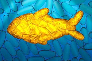 יותר מידי שמן דגים מגביר את הסיכון לסרטן הערמונית