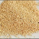 האם קינואה מומלצת לחולי צליאק?