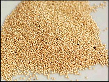 האם קינואה מומלצת לחולי צליאק?