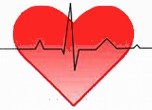 הקשר בין טריגליצרידים למחלות לב