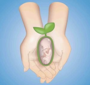 fertility_cholesterol