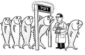 כספית במאכלי ים והסיכון למחלות אוטואימוניות בנשים