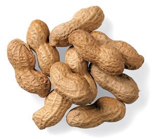 פיצוחים עשויים להאריך חיים