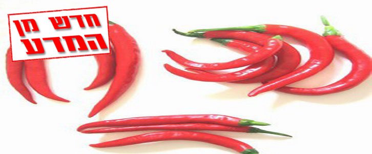 תבלינים עשויים להאריך את תוחלת החיים