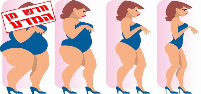 דיאטה דלה בשומן אינה יעילה לירידה במשקל בטווח הארוך