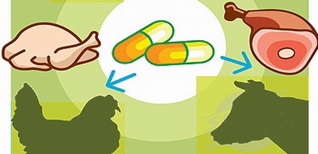 antibiotics-in-meat