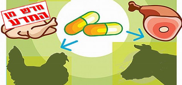אזהרה: אנטיביוטיקה בבעלי חיים מסוכנת לילדים