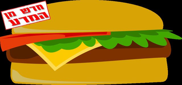 ג'אנק פוד לא אשם במגפת ההשמנה של אמריקה