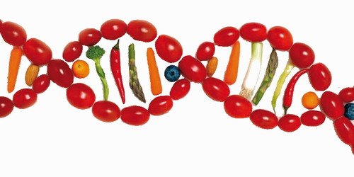 genome-diet