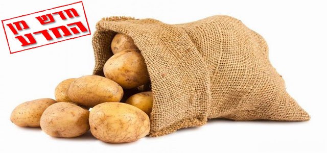 צריכת תפוחי אדמה לפני ההיריון קשורה לסוכרת הריונית