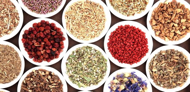 סיכונים בשימוש בצמחי מרפא לחולי סרטן