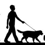 מחקר ענק – חוסר פעילות גופנית גורם למותם של 5 מיליון איש בעולם מידי שנה