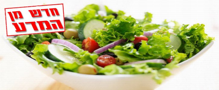 סלטים ארוזים – קרקע פורייה להתרבות חיידקים