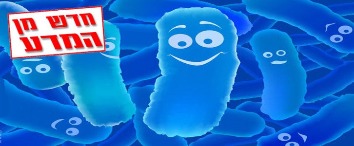 האם חלבון ופרוביוטיקה מסייעים בשליטה על רמות הסוכר בדם?