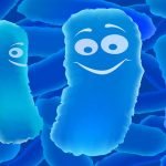 האם חלבון ופרוביוטיקה מסייעים בשליטה על רמות הסוכר בדם?