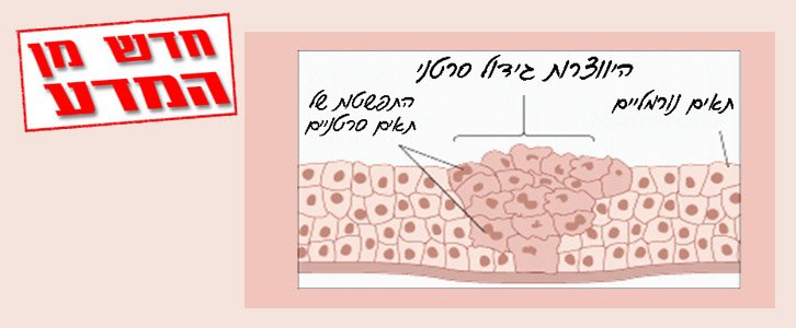 בעשור האחרון גדל בשליש שיעור מחלות הסרטן בעולם