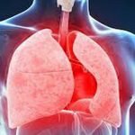הקשר בין COPD לאכילת פירות וירקות