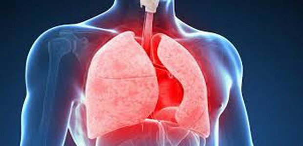 הקשר בין COPD לאכילת פירות וירקות