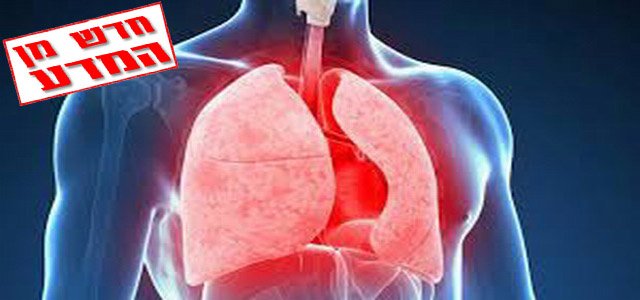הקשר בין COPD לאכילת פירות וירקות