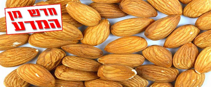 אכילת שקדים מעלה את הכולסטרול "הטוב"