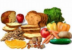 סיבים תזונתיים