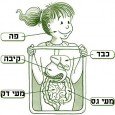 [ad#מסע במערכת העיכול] הינך מוזמן למסע מרתק בו תגלה מה קורה למזון בגוף לאחר האכילה. הידעת איזה מרחק עובר המזון בגוף בתהליך העיכול? עם הלעיסה והבליעה של המזון בגופך הוא מתחיל [&hellip;]