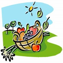 חידון הויטמינים 1